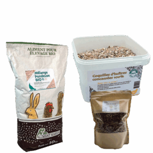 Alimentation poules