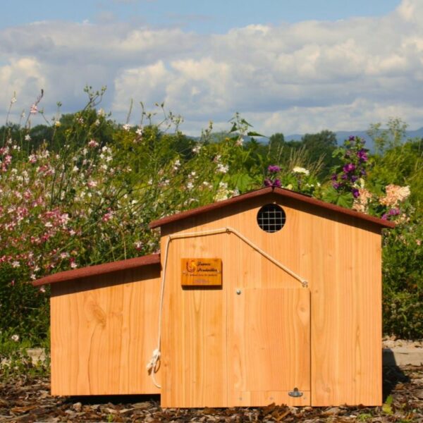 poulailler pour poules trio pondoir