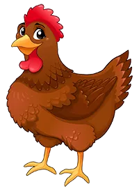 Poule pondeuse