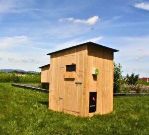 Poulailler 14 poules Alto douglas