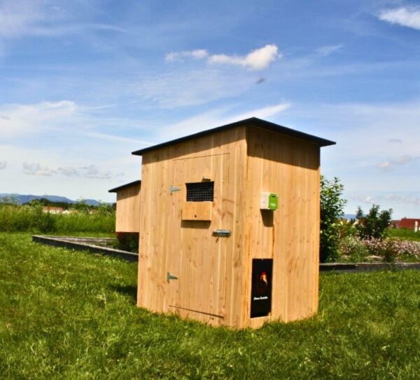 Poulailler 14 poules Alto douglas