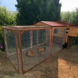 Poulailler enclos 8 poules Gali