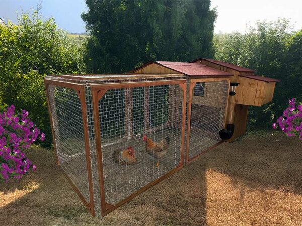 Poulailler enclos 8 poules Gali