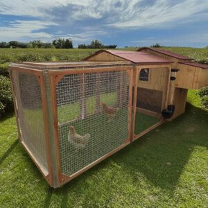 Poulailler enclos 8 poules Gali