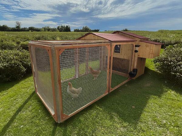 Poulailler enclos 8 poules Gali