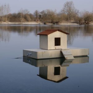 Ilot + nichoir simple pour canard