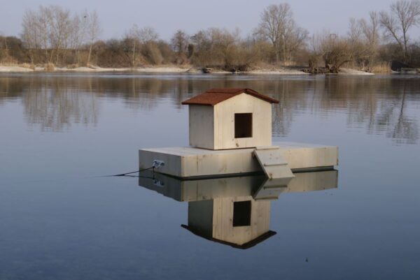 Ilot + nichoir simple pour canard