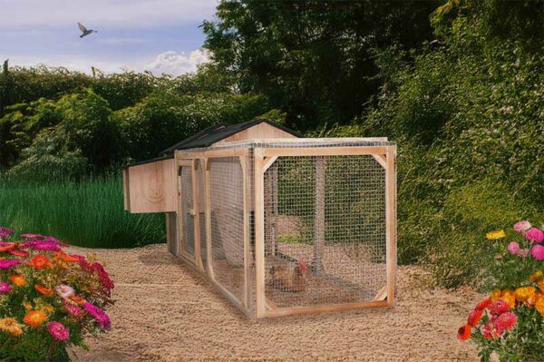 Poulailler enclos 4 ou 5 poules Lina