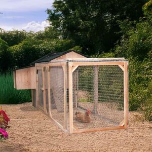 Poulailler enclos 4 ou 5 poules Lina