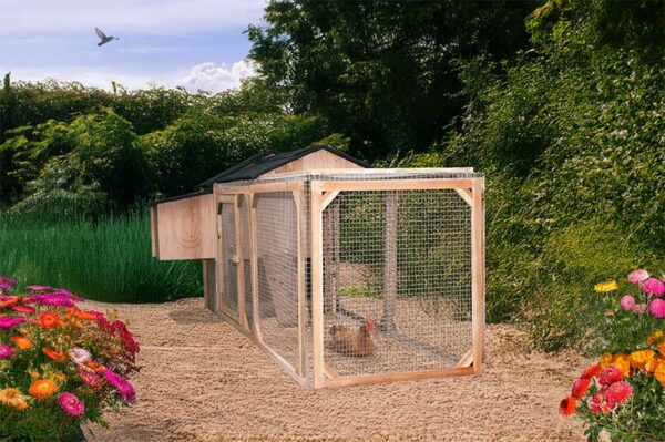 Poulailler enclos 4 ou 5 poules Lina