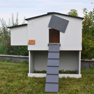 Poulailler pour 6 poules Mika en bois5