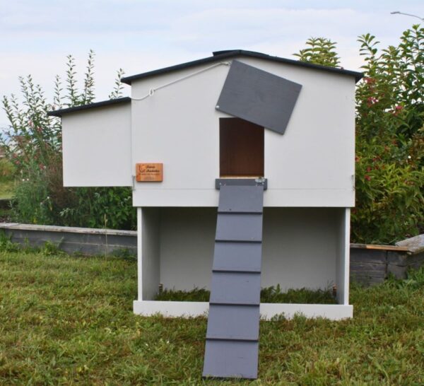 Poulailler pour 6 poules Mika en bois5