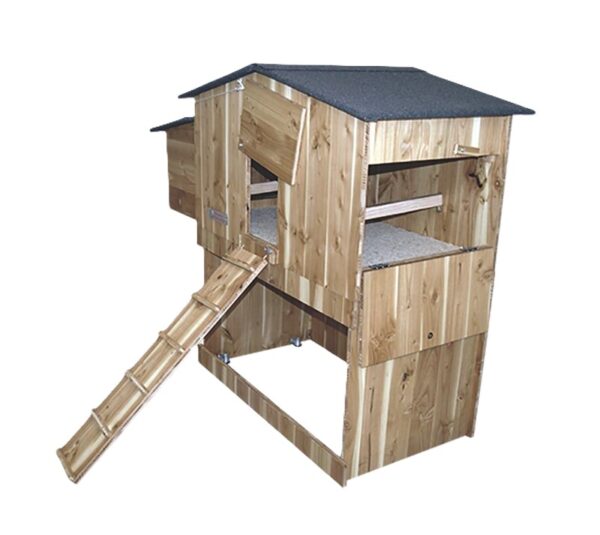 Poulailler pour 6 poules Mika en bois Douglas