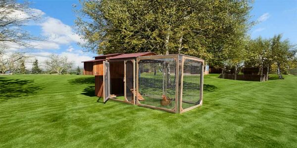 Poulailler enclos 6 poules Mika