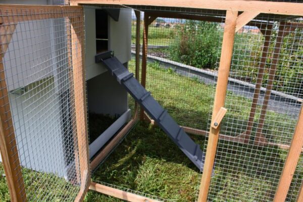 Poulailler enclos 6 poules Mika