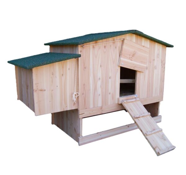 Poulailler en bois pour 6 poules Piou1