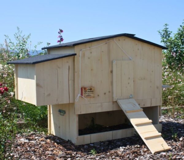 Poulailler pour 6 poules Piou en extérieur