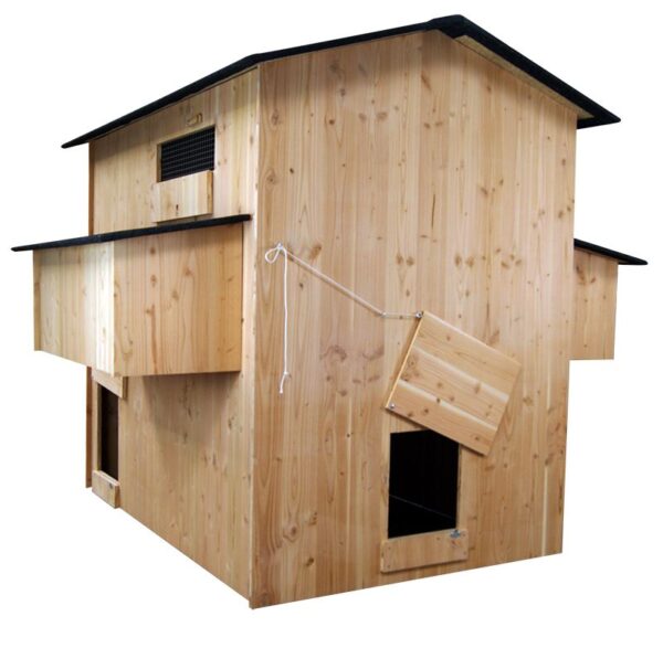 Poulailler 25 poules Palace en bois douglas
