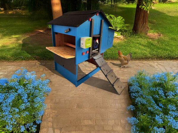 Poulailler 4 ou 5 poules Lina – Image 7