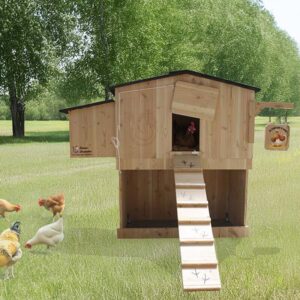 Poulailler 6 poules Mika