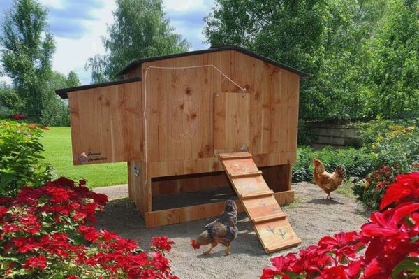 Poulailler 6 poules Piou