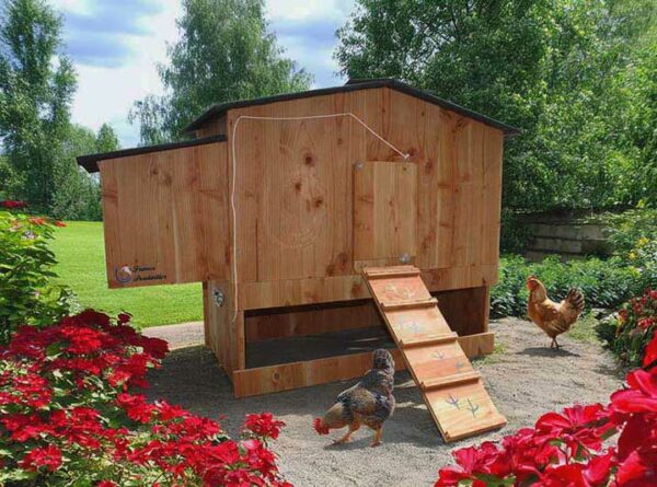 Poulailler 6 poules Piou