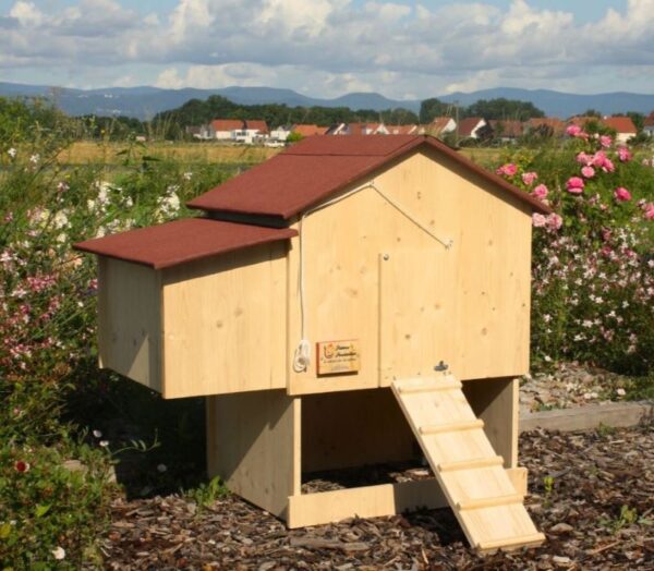 Poulailler 5 poules Lina extérieur en bois épicéa