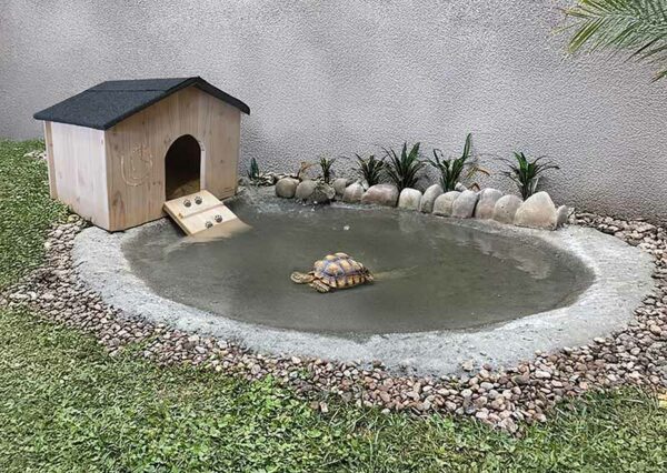 Cabanes pour tortues en bois