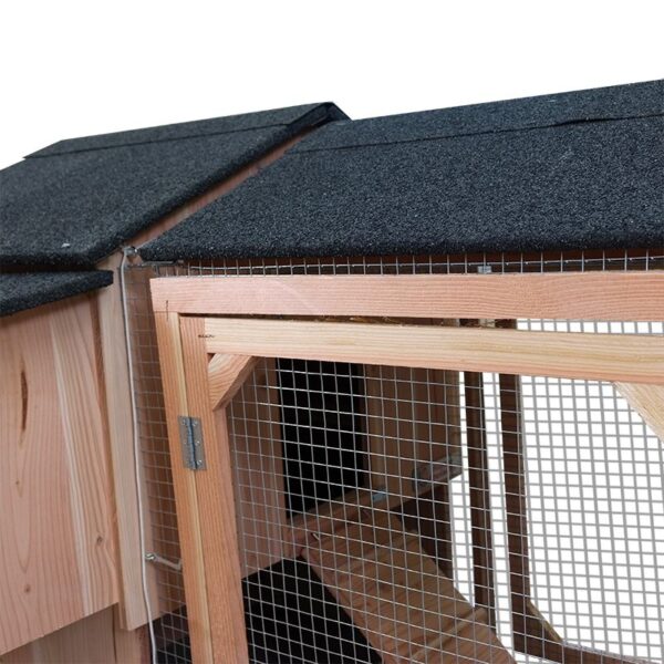 Lina enclos 5 poules