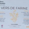 Vers de farine – Image 5