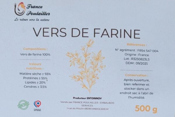 Vers de farine – Image 5