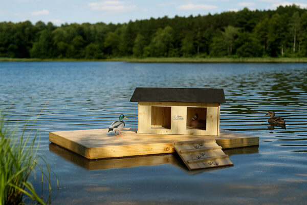 Îlots nichoirs pour canards