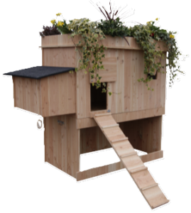 poulailler-gali-vegetal-8-poules