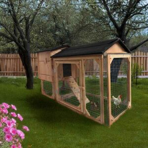 Poulailler enclos 3 ou 4 poules Trio