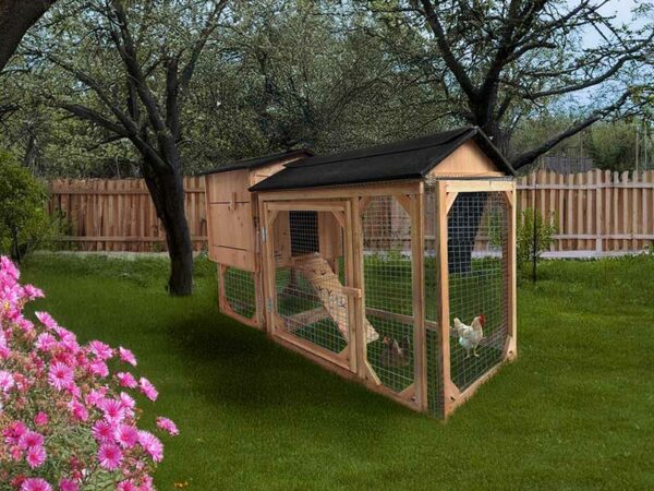 Poulailler enclos 3 ou 4 poules Trio