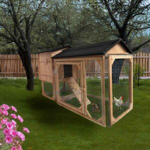 Poulailler enclos 3 ou 4 poules Trio