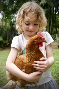 1 fillette et sa poule