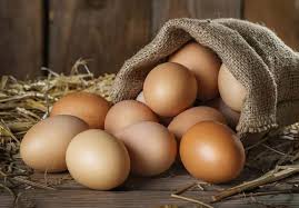 oeufs de poule en mars