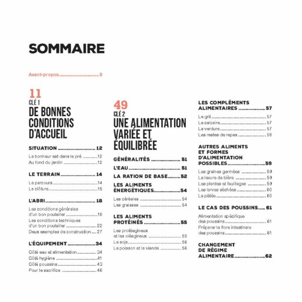 J'élèverais bien des poules – Image 2