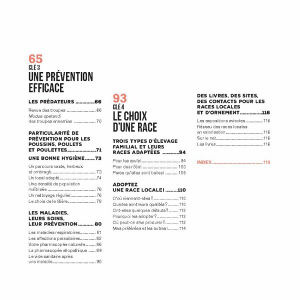 J'élèverais bien des poules – Image 3
