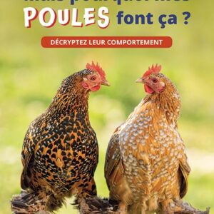 MAIS-POURQUOI-MES-POULES-FONT-CA-PREMIERE-PAGE-1.