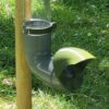 mangeoire vert olive evena