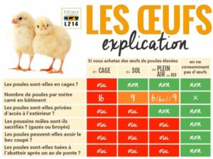 oeufs-de-poules-tableau
