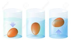 oeufs-de-poules-test-flotteur