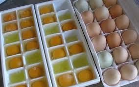 oeufs-de-poulettes-congeles